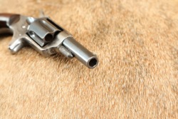 Antique Colt Etched Panel New Line .32 RF 2.25&rdquo; 5-Shot Pocket Revolver 1877 - 14