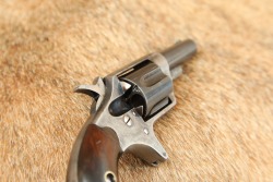 Antique Colt Etched Panel New Line .32 RF 2.25&rdquo; 5-Shot Pocket Revolver 1877 - 15
