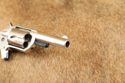 Antique Colt Etched Panel Nickel & Fire Blue New Line .30 RF 2.25&rdquo; 5-Shot Pocket Revolver 1875 - 14