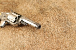 Factory Engraved Antique Colt Etched Panel Nickel New Line .22 RF 2.25&rdquo; 7-Shot Pocket Revolver 1876 - 14