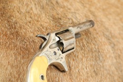 Factory Engraved Antique Colt Etched Panel Nickel New Line .22 RF 2.25&rdquo; 7-Shot Pocket Revolver 1876 - 15