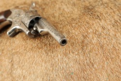 Colt 1871&ndash;1877 Nickel & Engraved Open Top Pocket Model .22 Rimfire 2.5&rdquo; Revolver Antique - 14