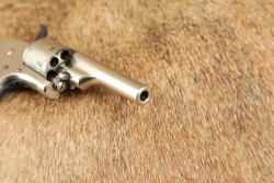 Early Colt 1875 Nickel Open Top Pocket Model .22 Rimfire 2.5&rdquo; Revolver Antique - 16