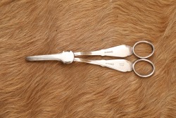 W.F. Cody's Viners LTD. Seafood Tool Set England Silver Plated & Pearl In Case - 14
