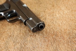 Colt Model 1903 Pocket Hammerless .32 ACP 3.75&rdquo; Semi-Auto Pistol 1912 C&R - 17