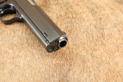 Rare Combination Stock-Holster & Colt Model 1905 The First .45 ACP 5" Semi-Auto Pistol 1908 C&R - 18