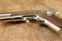 Factory Nickel Colt Model 1908 Pocket Hammerless .380 ACP 3.75&rdquo; Semi-Auto Pistol 1925 C&R - 9