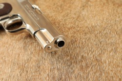 Factory Nickel Colt Model 1908 Pocket Hammerless .380 ACP 3.75&rdquo; Semi-Auto Pistol 1925 C&R - 16