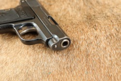 Colt Model 1908 Vest Pocket .25 ACP 2 1/8&rdquo; Semi-Auto Pistol 1919 C&R - 14