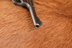 &ldquo;USMC PROPERTY&rdquo; Marked Colt 2nd Series Woodsman Sport .22 LR 4.5&rdquo; Semi-Auto Pistol 1953 C&R - 17