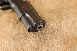 Colt Post-War Service Model ACE .22 LR 4.75&rdquo; 1911 Semi-Auto Pistol W/ Two Mags 1981 - 18