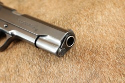 Factory Inscribed Colt &ldquo;Pre-National Match&rdquo; Government Model 1911 .45 ACP 5&rdquo; Semi-Auto Pistol 1927 C&R - 17