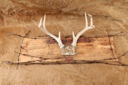Custom Winchester Inspired 4-Point Buck Antlers Mounted & Barbed Wire Rustic Wooden Sign - 2