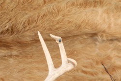 Custom Winchester Inspired 4-Point Buck Antlers Mounted & Barbed Wire Rustic Wooden Sign - 7