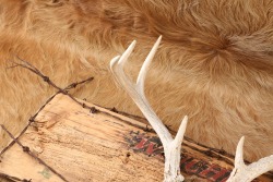 Custom Winchester Inspired 4-Point Buck Antlers Mounted & Barbed Wire Rustic Wooden Sign - 15
