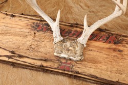 Custom Winchester Inspired 4-Point Buck Antlers Mounted & Barbed Wire Rustic Wooden Sign - 16