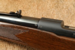 Pre-64 Winchester Model 70 Standard G7001C .22 Hornet Bolt Action Rifle 1951 C&R - 24