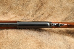 Winchester Model 1910 .401 WSL 20&rdquo; Self-Loading Semi-Auto Rifle 1912 C&R - 14