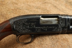 Winchester Model 12 1912 12 GA 2 &frac34;&rdquo; FULL 30&rdquo; Engraved Pump Action Shotgun, 1955 C&R - 22