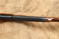 Early Winchester Model 1200 12 GA 20&rdquo; Pump Action Shotgun 2 3/4&rdquo; Shells Trench Gun Clone 1964-1968 C&R - 14