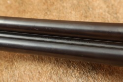 Bozard & Co. British Boxlock Hammerless 12 GA SXS Double Shotgun & Case 1896-1897 Antique - 24
