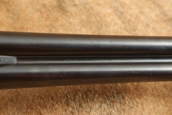 Bozard & Co. British Boxlock Hammerless 12 GA SXS Double Shotgun & Case 1896-1897 Antique - 25