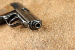 Pre-WWII Walther PDM Marked Munich Police PPK 7.65mm .32 ACP Semi-Automatic Pistol, 1935 C&R - 17