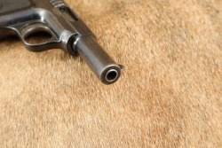 Savage Model 1907-10 Modification No. 2 .32 ACP 3.75&rdquo; Semi-Auto Pistol 1910-1911 C&R - 17