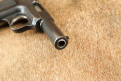 Savage Model 1907-19 Modification No. 2 .32 ACP 3.75&rdquo; Semi-Auto Pistol 1919-1920 C&R - 17