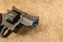 Dan Wesson Model 22 Monson, Mass. .22 LR 2.5&rdquo; 6-Shot DA/SA Target Revolver ca. 1979 - 18
