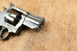 Dan Wesson Model 22 Monson, Mass. .22 LR 2.5&rdquo; 6-Shot DA/SA Target Revolver ca. 1979 - 19
