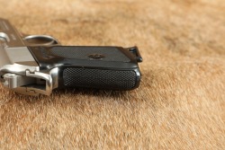 Walther Interarms Model PPK Stainless .380 ACP 3 1/4" Semi-Auto Pistol, Box & Target 1987 - 14
