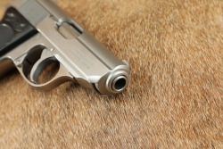 Walther Interarms Model PPK Stainless .380 ACP 3 1/4" Semi-Auto Pistol, Box & Target 1987 - 17