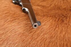 Colt Pre-WW2 1st Series Woodsman Match Target &ldquo;Bullseye&rdquo; .22 LR 6.5&rdquo; Semi-Auto Pistol 1939 C&R - 17
