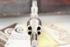 Colt e-Nickel Python .357 Double Action Revolver, Model I3820 & Box - 4